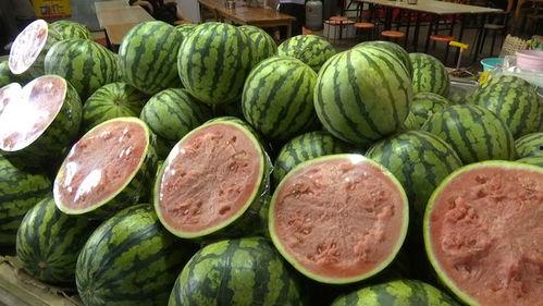 5吃4瓜,探寻美食新境界