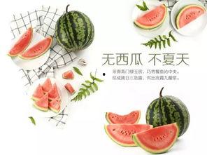 海尔吃瓜活动,夏日炎炎欢乐多！