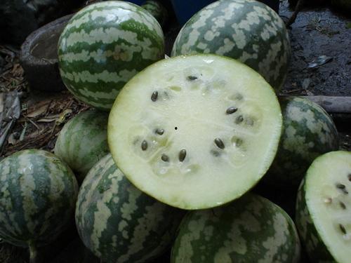 贵族瓜能带皮吃吗怎么吃,皮肉皆可食，独特吃法揭秘