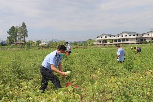 吃瓜群众蕲春,吃瓜群众眼中的美食天堂