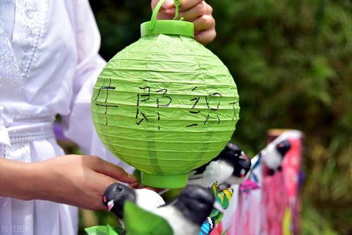 风月吃瓜,揭秘娱乐圈背后的秘密与八卦