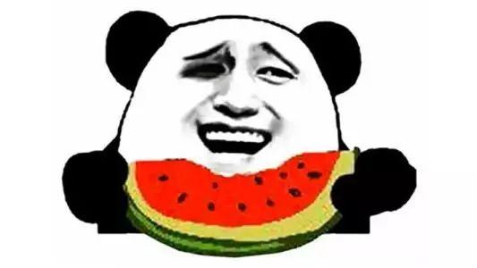 吃瓜群众荷兰,吃瓜群众的美食之旅