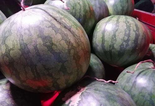 在古代吃瓜怎么说,揭秘古代“吃瓜群众”的趣味生活