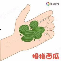 小如带你吃瓜,揭秘娱乐圈那些事儿