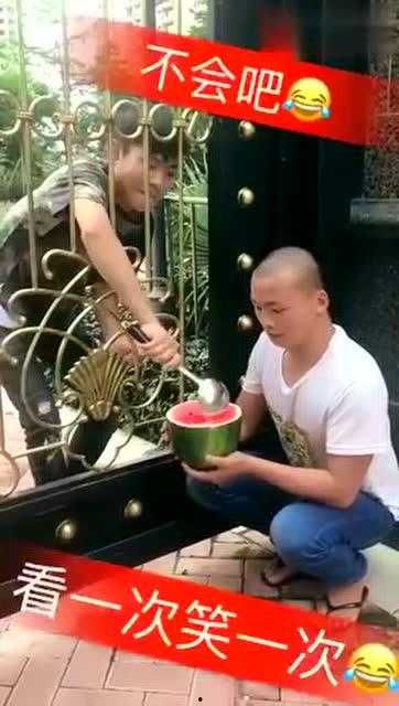 吃瓜打架搞笑段子,一场吃瓜打架的欢乐盛宴