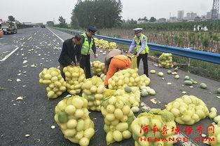 曲阳吃瓜群众,揭秘当地热点事件背后的故事