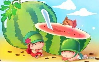 哔哩礼物吃瓜,揭秘网络社交新潮流