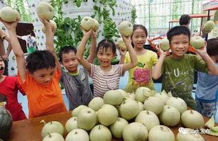 吃瓜群众优质水果,揭秘吃瓜群众钟爱的优质水果