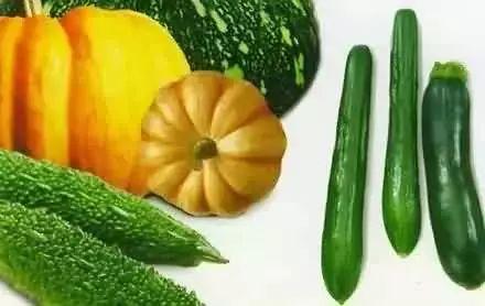 吃瓜就用瓜多多,一站式满足你的“瓜”需求