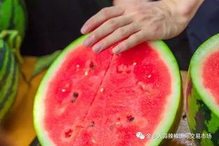 青学院吃瓜,揭秘校园吃瓜背后的故事