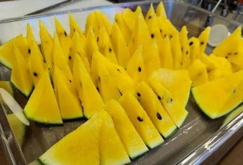 上海小阿姨吃瓜,上海小阿姨的瓜田奇遇记