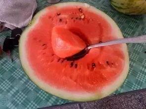 吃瓜神网中国,中国网络舆论场的风向标