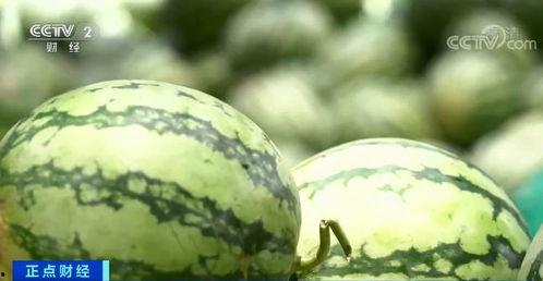 深圳某公司吃瓜,一场职场八卦的狂欢