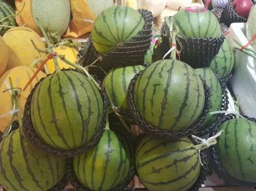 迁西吃瓜,吃瓜也能吃出文化味