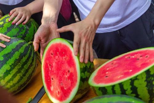 大学吃瓜视频,揭秘大学吃瓜视频背后的故事