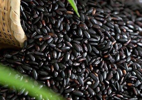 星野吃瓜黑料,揭秘娱乐圈背后的黑料风云