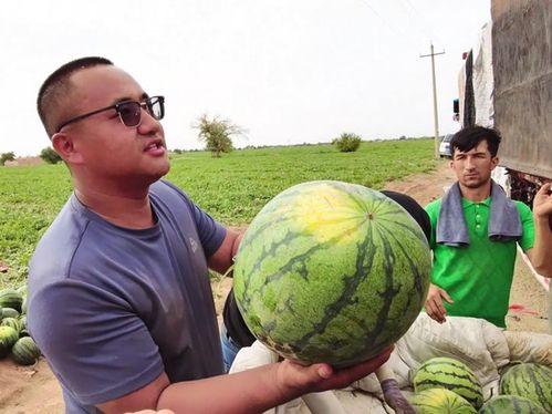 吃瓜的鲜卑,探寻吃瓜文化的独特魅力