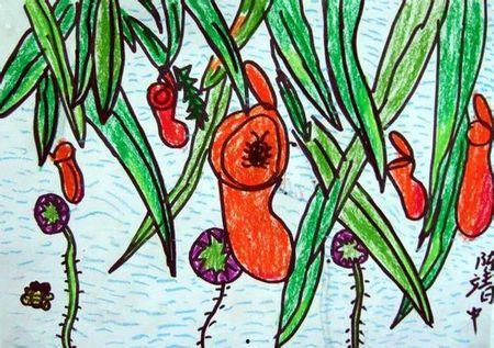 虫子吃瓜创意画,瓜果飘香中的创意虫子画卷